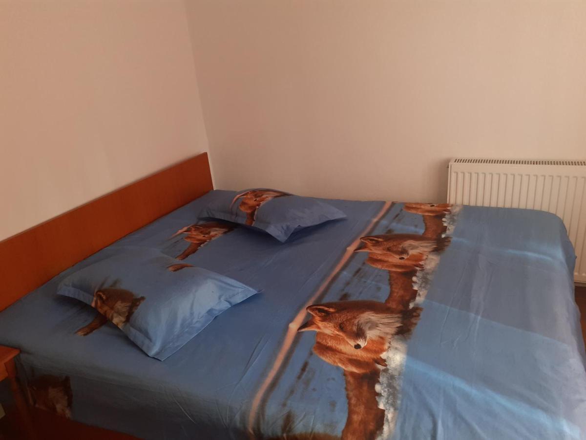 Casa Denisa Vidraru Transfgarasan Hotell Căpăţîneni-Ungureni Exteriör bild