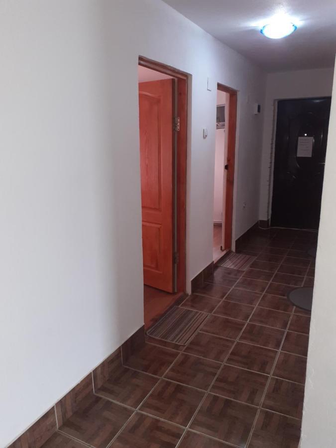 Casa Denisa Vidraru Transfgarasan Hotell Căpăţîneni-Ungureni Exteriör bild