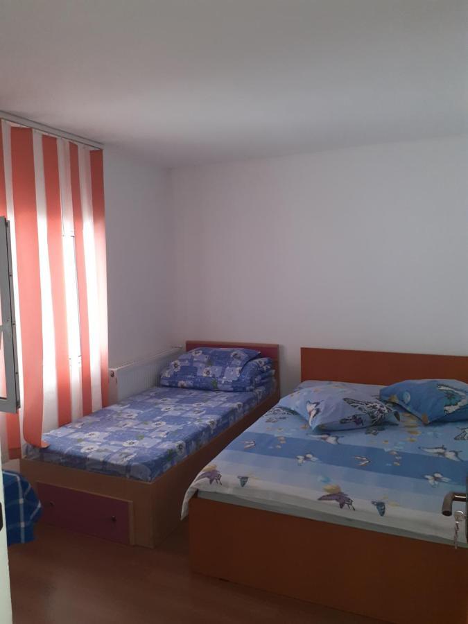 Casa Denisa Vidraru Transfgarasan Hotell Căpăţîneni-Ungureni Exteriör bild