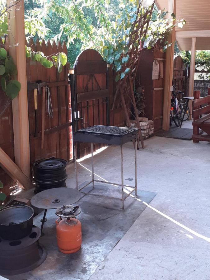 Casa Denisa Vidraru Transfgarasan Hotell Căpăţîneni-Ungureni Exteriör bild