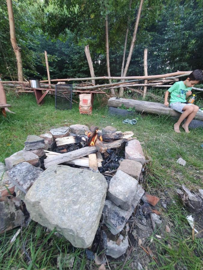 Casa Denisa Vidraru Transfgarasan Hotell Căpăţîneni-Ungureni Exteriör bild