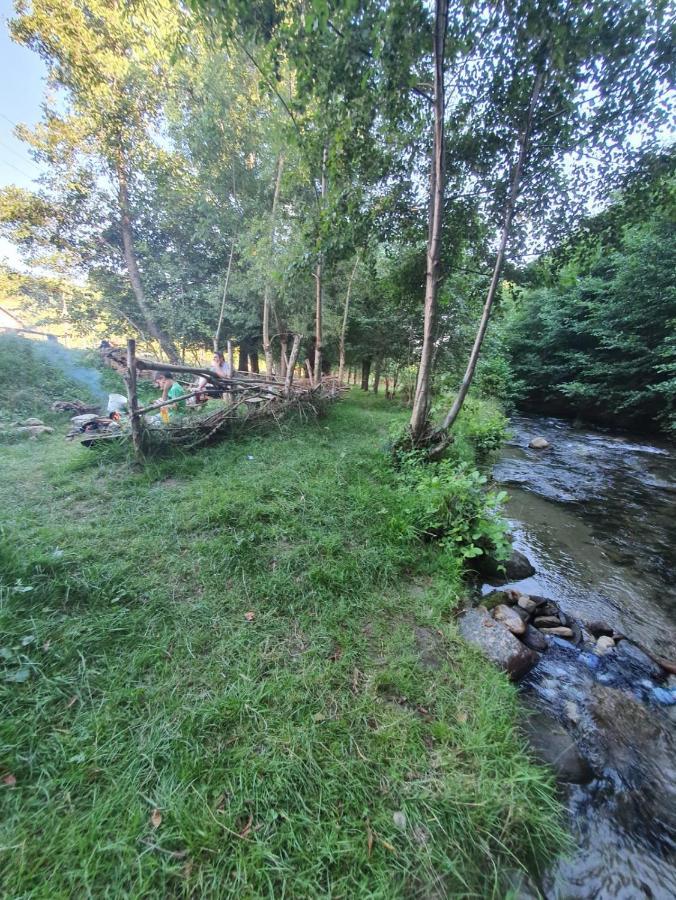Casa Denisa Vidraru Transfgarasan Hotell Căpăţîneni-Ungureni Exteriör bild