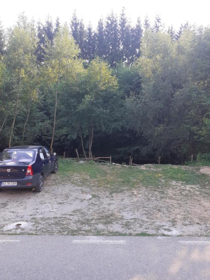 Casa Denisa Vidraru Transfgarasan Hotell Căpăţîneni-Ungureni Exteriör bild