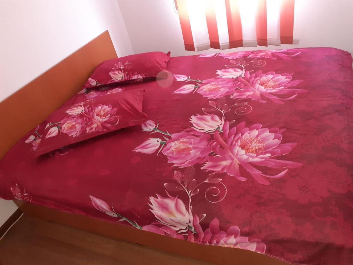Casa Denisa Vidraru Transfgarasan Hotell Căpăţîneni-Ungureni Exteriör bild