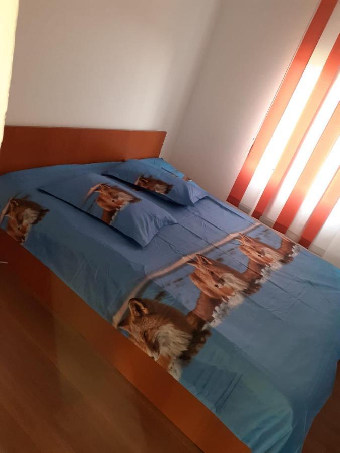 Casa Denisa Vidraru Transfgarasan Hotell Căpăţîneni-Ungureni Exteriör bild