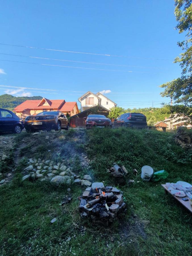 Casa Denisa Vidraru Transfgarasan Hotell Căpăţîneni-Ungureni Exteriör bild