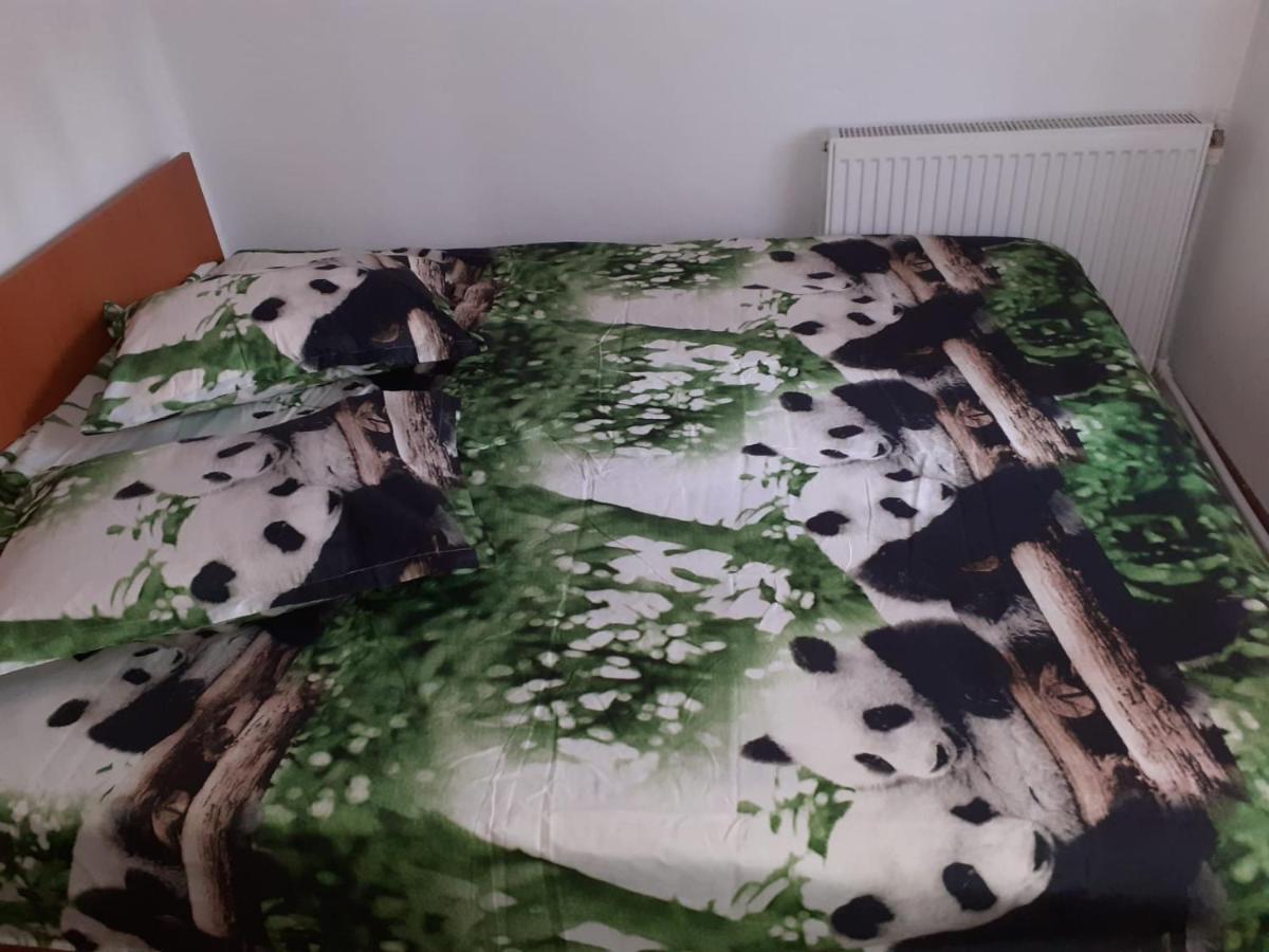 Casa Denisa Vidraru Transfgarasan Hotell Căpăţîneni-Ungureni Exteriör bild