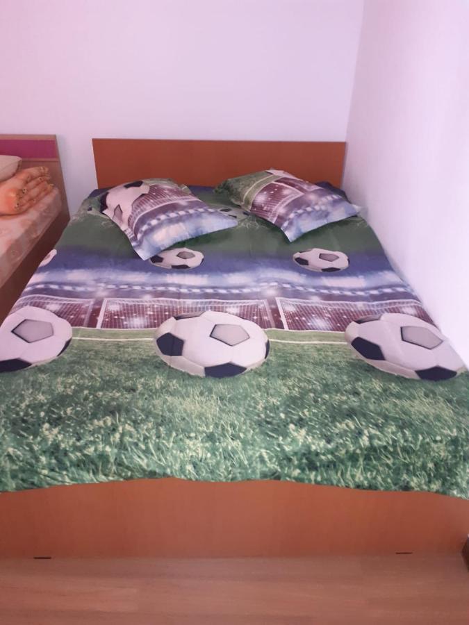 Casa Denisa Vidraru Transfgarasan Hotell Căpăţîneni-Ungureni Exteriör bild