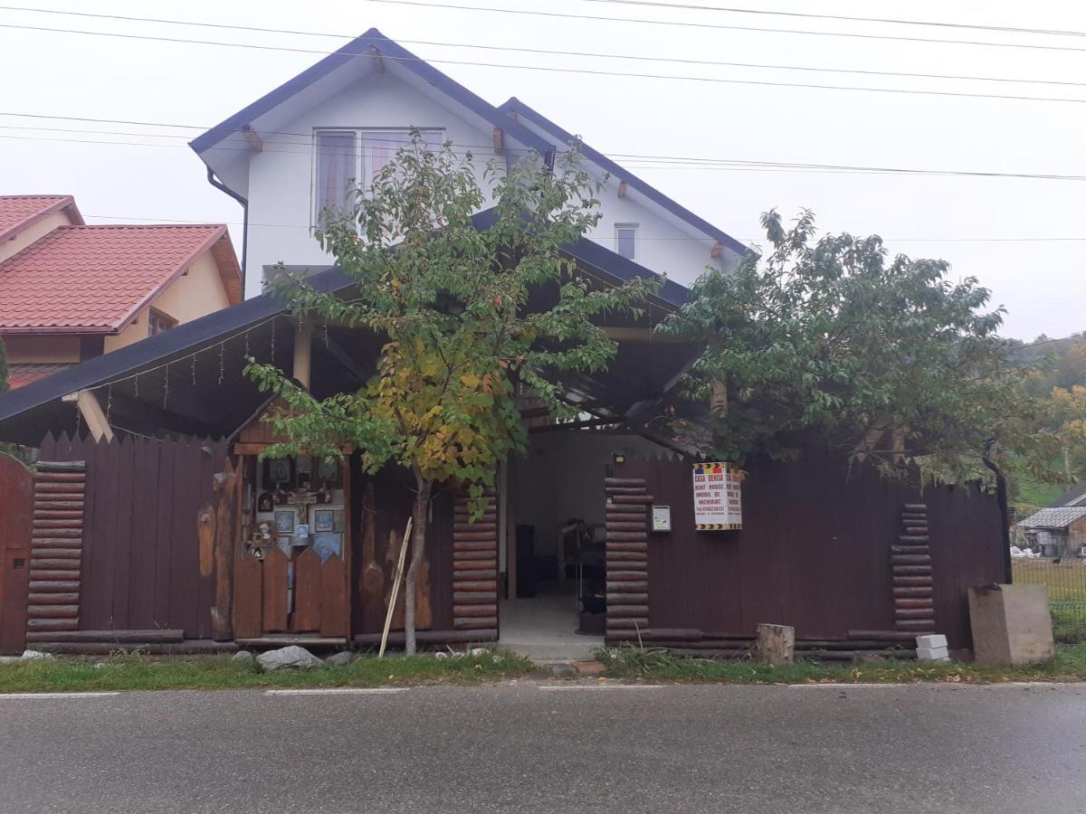 Casa Denisa Vidraru Transfgarasan Hotell Căpăţîneni-Ungureni Exteriör bild